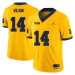 Men's #14 Roman Wilson Michigan Wolverines College Football Jersey